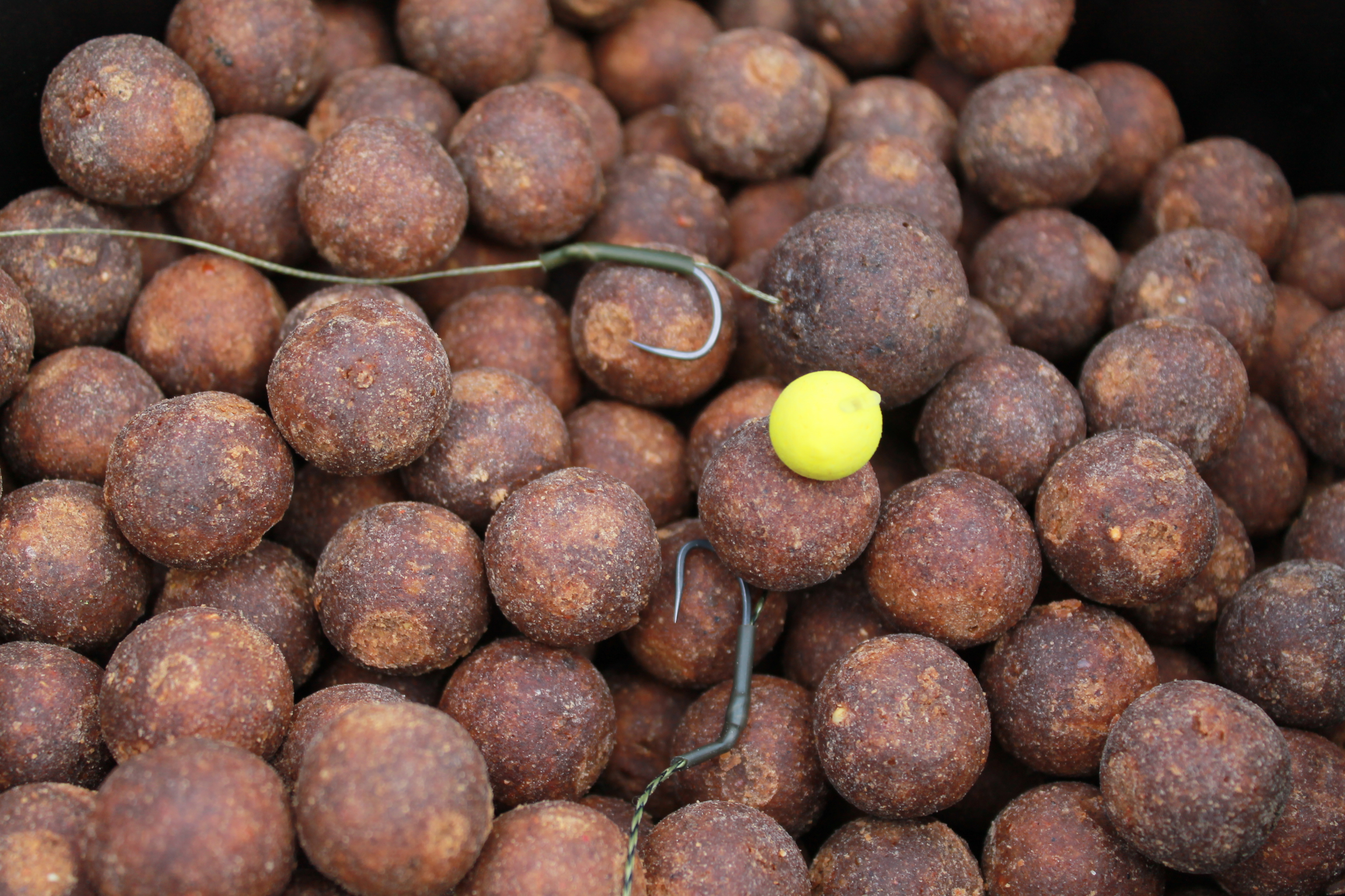 10 Kg Spezial Boilies